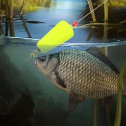 Unique Bargains Plastic Weighted Popping Corks Fishing Floats Rigs 3 Pcs -Outdoor Sports Series GUEST 0cff5202 75dc 432b b7b6 4a018dba4e7a