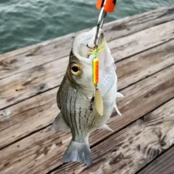 Unique Bargains Metal Curved Fishing Spinner Baits With Storage Box 40 Pcs -Outdoor Sports Series GUEST 51009a99 f082 4aa1 91ac 9c89a1fdf10c 1