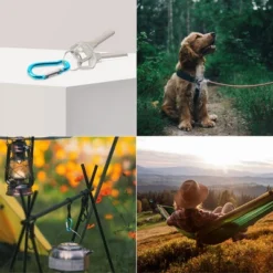 Unique Bargains Aluminum Hiking D-Ring Keychain Carabiner Hook Teal 1.6" X 0.8" X 0.16" 5 Pcs -Outdoor Sports Series GUEST 5a00cc1d d0bb 4384 8b6f 2cd627b0b54c