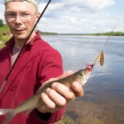 Unique Bargains Fly Tying Slotted Tungsten Round Beads For Variety Jig Hooks 70 Pcs -Outdoor Sports Series GUEST d18dd69e 8197 4f8f a8c1 b7aa2b0a8841