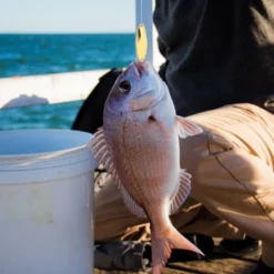 Unique Bargains Treble Hooks Metal Spinner Fishing Spoons For Freshwater Saltwater Salmon 10 Pcs -Outdoor Sports Series GUEST d4b2d832 d093 461c b0b2 5d46fdcf1672